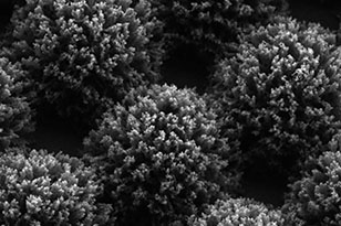 河源河源蔡司显微镜